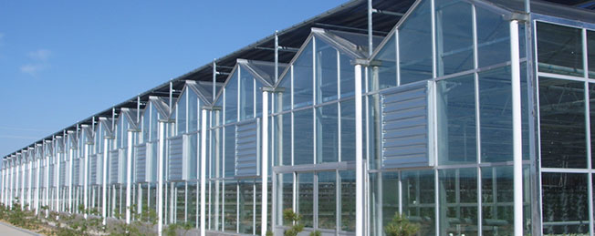 山東柏科阿姆農業科技開發有限公司